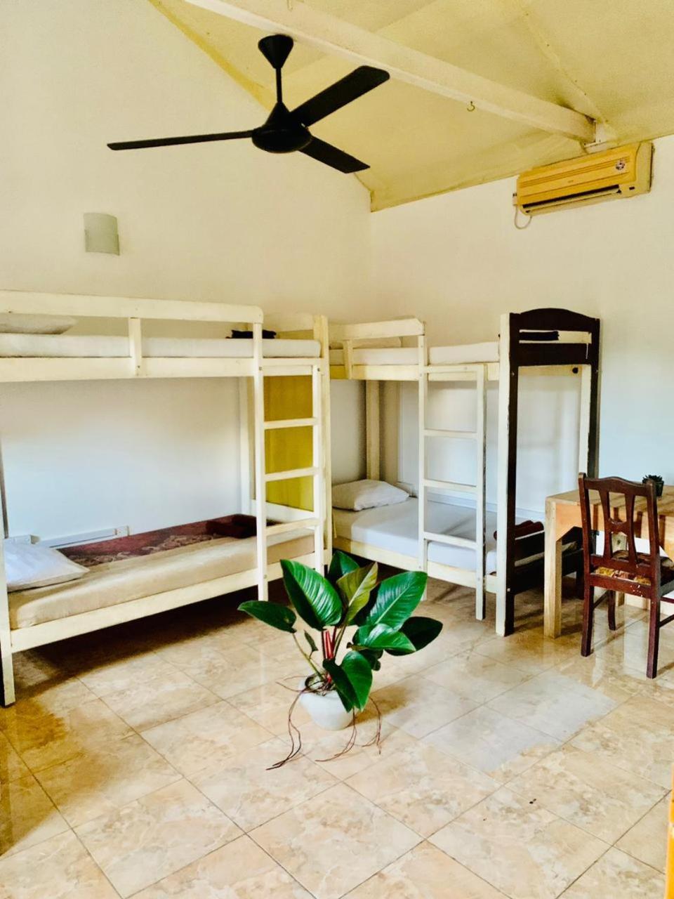 Dreamy Surf House Hotel Weligama Kültér fotó